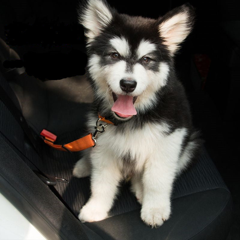 Adjustable Reflective Dog Car Seat Belt for Safety