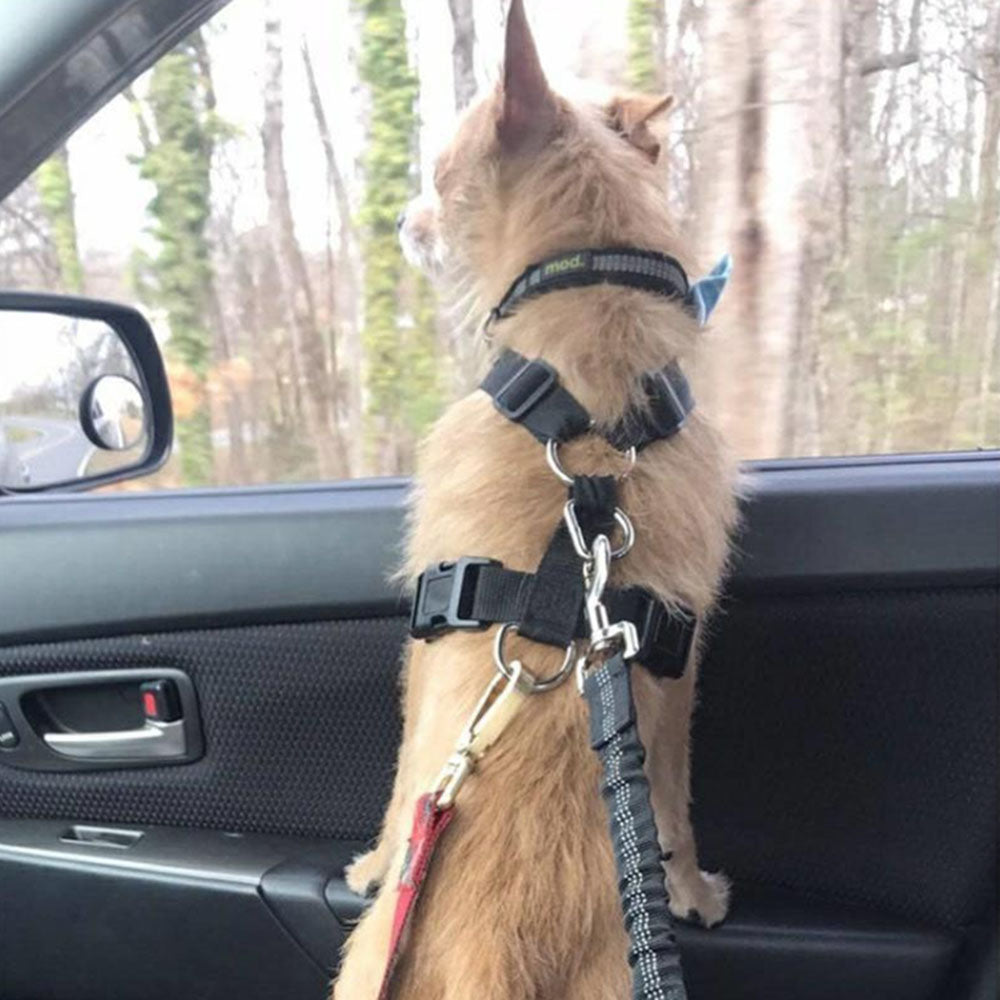 Adjustable Reflective Dog Car Seat Belt for Safety