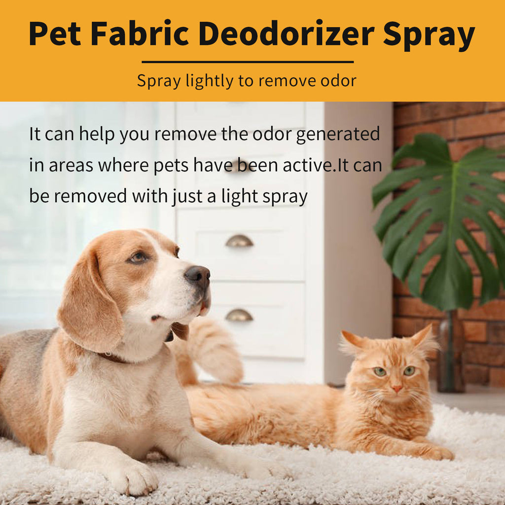 Pet Odor Remover Spray – Clean, Fresh, Happy Home