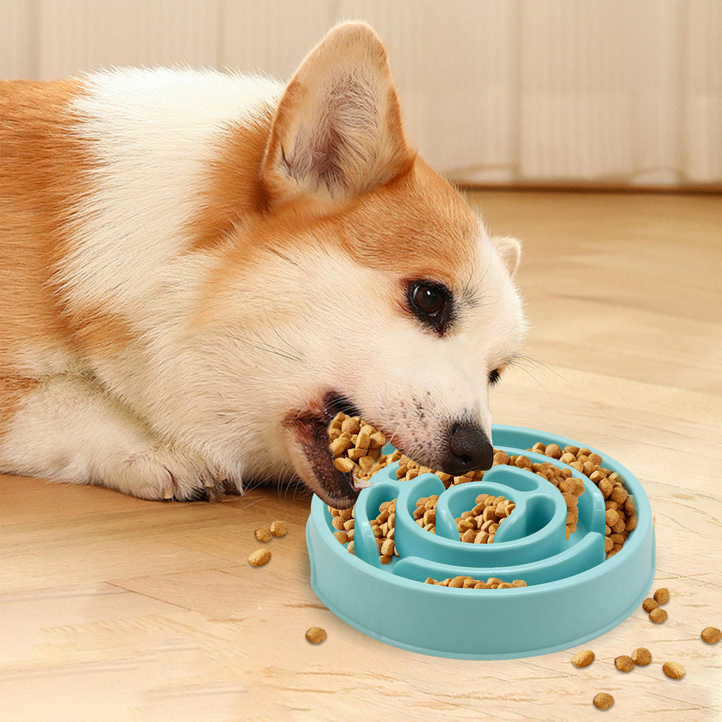 Slow Feeder Pet Bowl for Meals