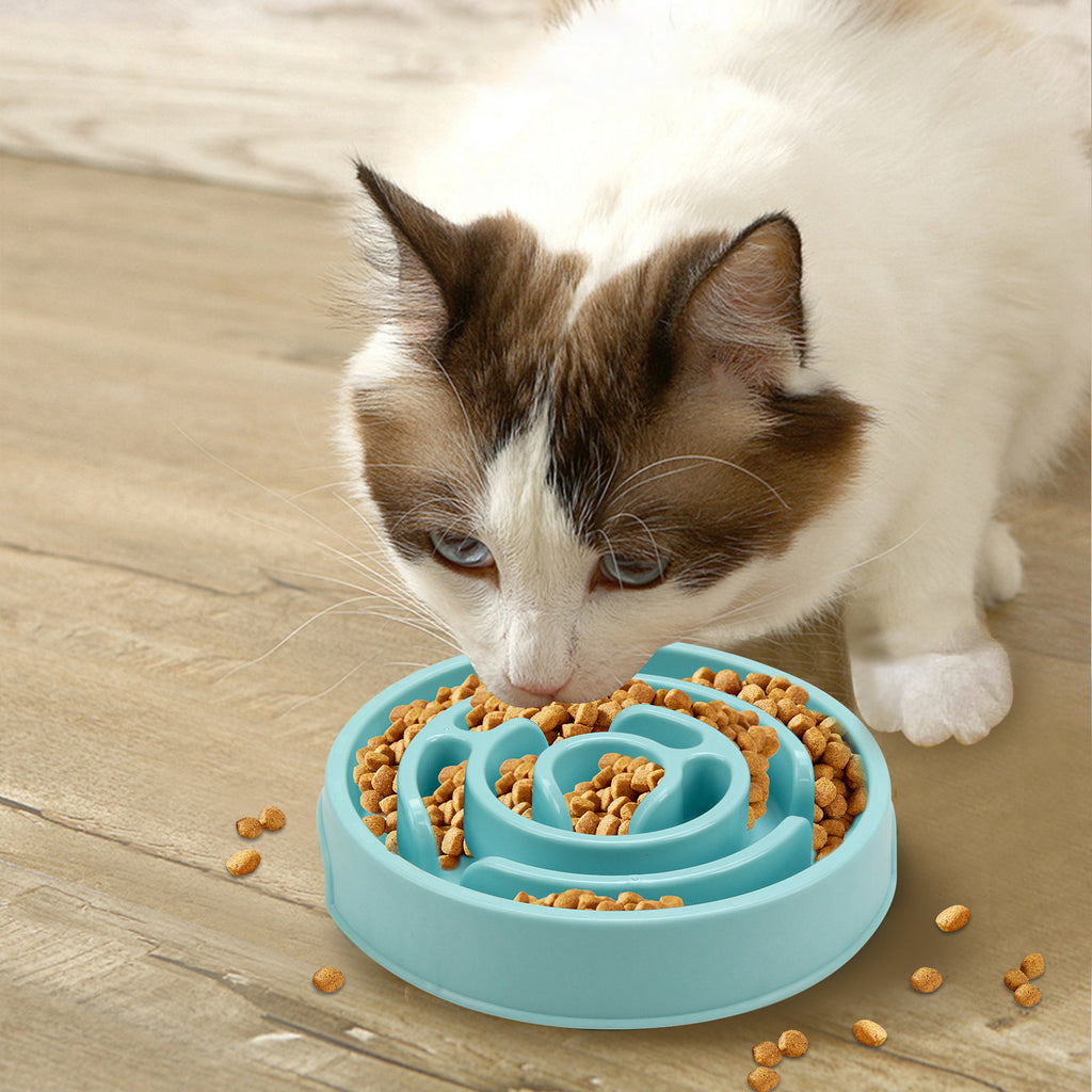 Slow Feeder Pet Bowl for Meals