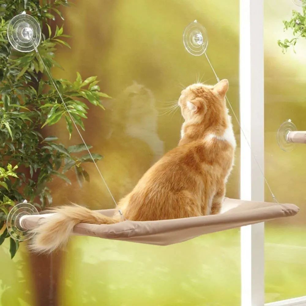 Chic Cat Window Seat for Ultimate Lounging Comfort